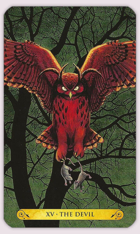 Tarot of the Owl Llewellyn