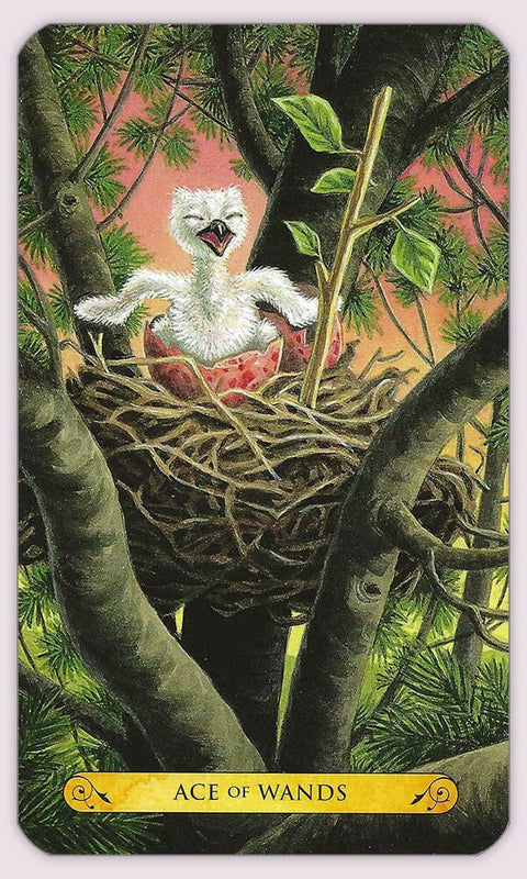 Tarot of the Owl Llewellyn