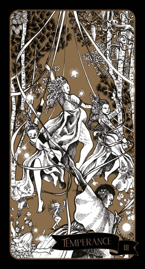 Tarot Of The Sorceress Cards Rockpool