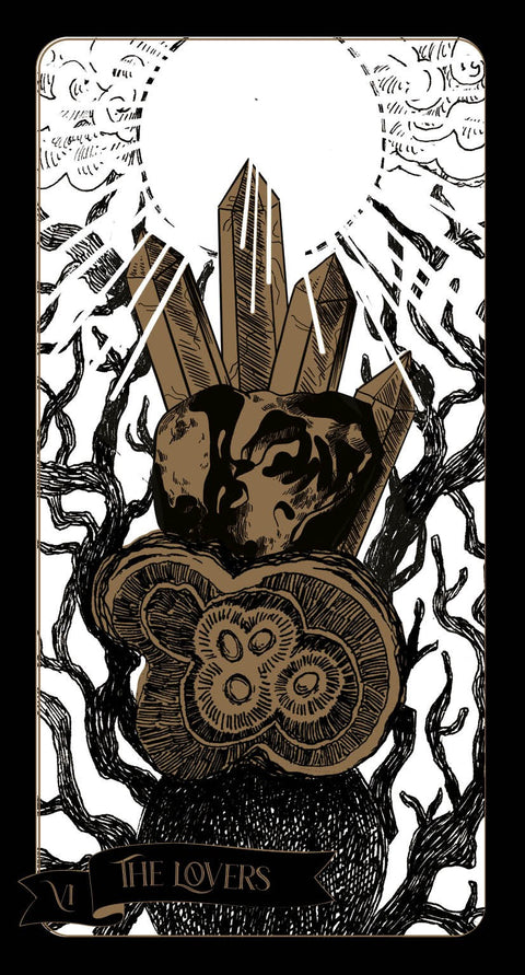 Tarot Of The Sorceress Cards Rockpool