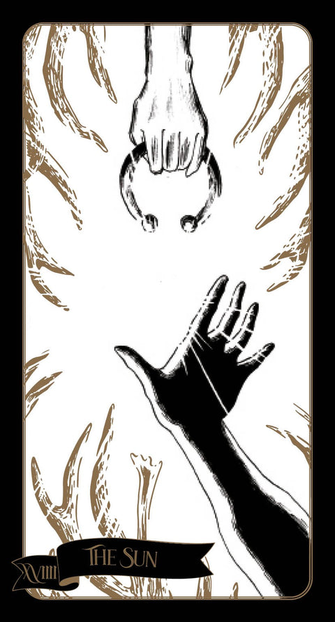 Tarot Of The Sorceress Cards Rockpool