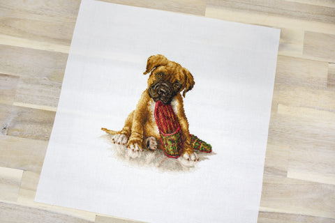 The Boxer SB2338 - Cross Stitch Kit