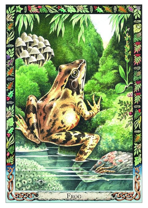 The Druid Animal Oracle Cards Welbeck Publishing