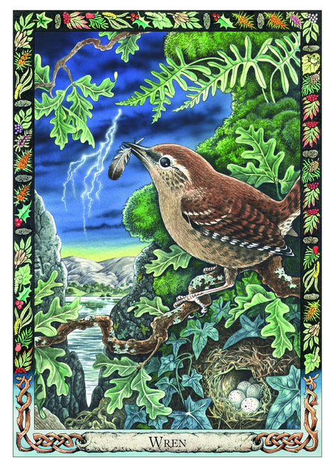 The Druid Animal Oracle Cards Welbeck Publishing