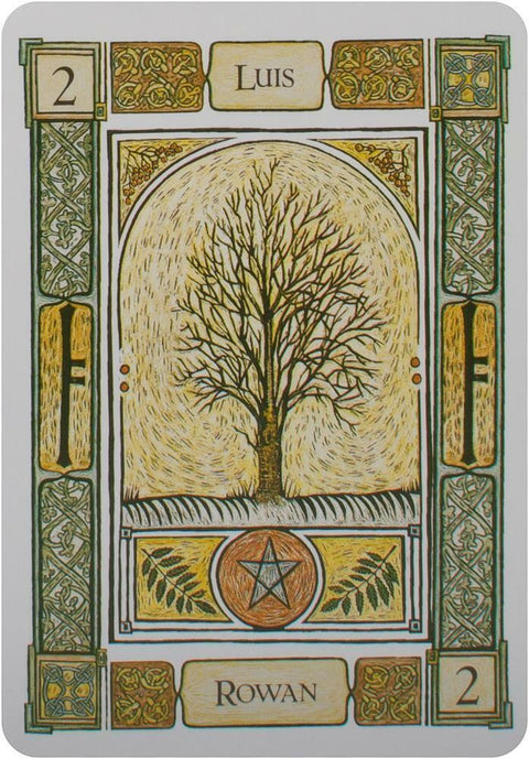 The Celtic Tree Oracle Cards Welbeck Publishing