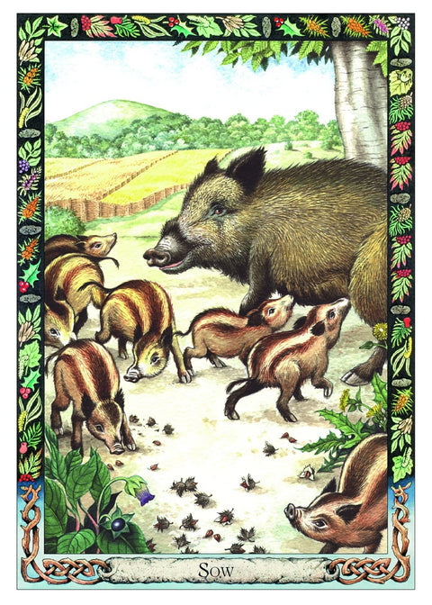 The Druid Animal Oracle Cards Welbeck Publishing