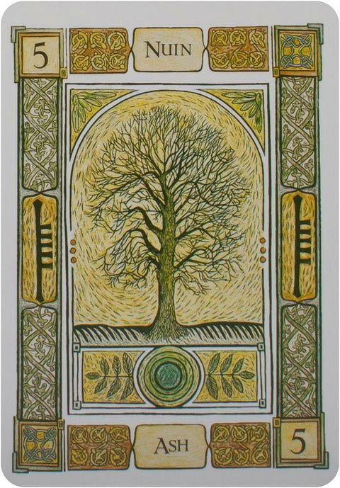 The Celtic Tree Oracle Cards Welbeck Publishing