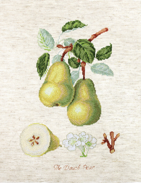 The Dauch Pear SBA22420 - Cross Stitch Kit