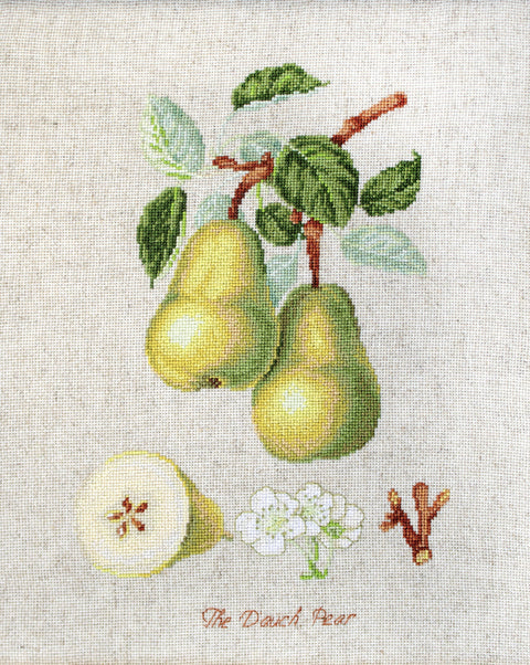 The Dauch Pear SBL22420 - Cross Stitch Kit