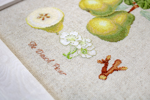 The Dauch Pear SBL22420 - Cross Stitch Kit