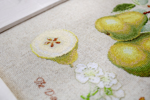 The Dauch Pear SBL22420 - Cross Stitch Kit