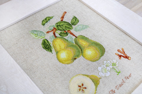 The Dauch Pear SBL22420 - Cross Stitch Kit