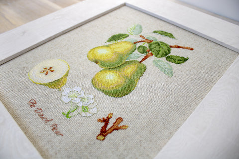 The Dauch Pear SBL22420 - Cross Stitch Kit