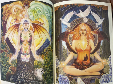 The dreamers story tarot journal Blue Angel