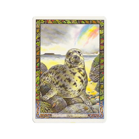 The Druid Animal Oracle Cards and Book set Orange Hippo