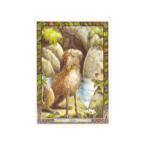 The Druid Animal Oracle Cards and Book set Orange Hippo