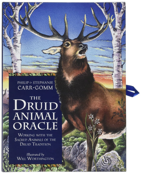 The Druid Animal Oracle Cards and Book set Orange Hippo