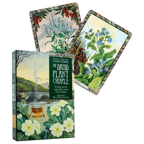 The Druid Plant Oracle Cards Welbeck Publishing