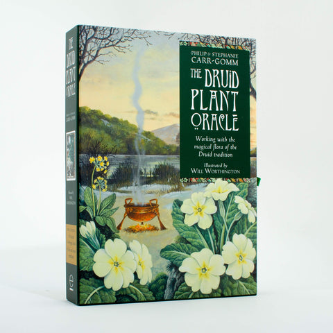 The Druid Plant Oracle Cards Welbeck Publishing