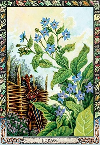 The Druid Plant Oracle Cards Welbeck Publishing