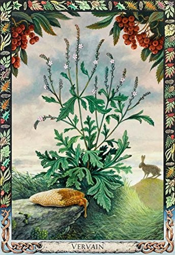 The Druid Plant Oracle Cards Welbeck Publishing