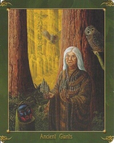 The Green World Oracle Cards Schiffer Publishing