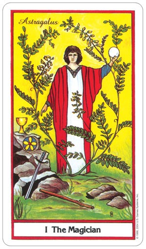 The Herbal Tarot cards US Games Systems