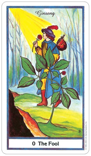 The Herbal Tarot cards US Games Systems