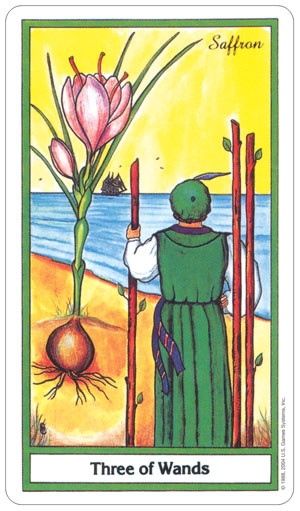 The Herbal Tarot cards US Games Systems