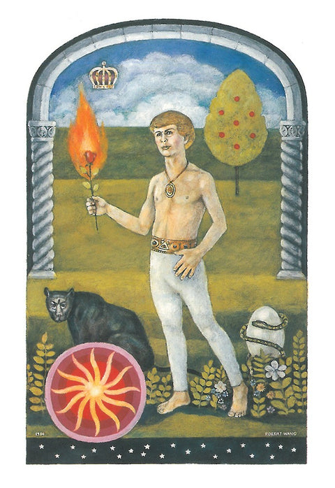 The Jungian Tarot cards US Games Systems