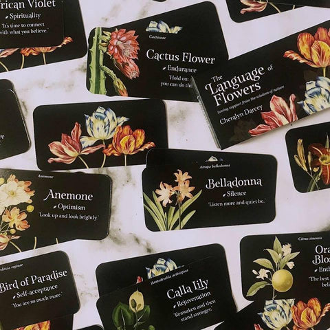 The Language of Flowers Inspiration cards Rockpool