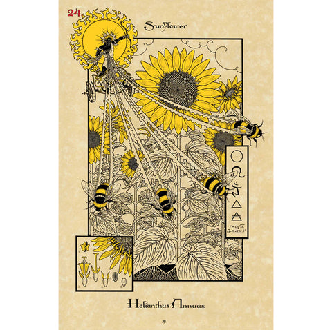 The Magickal Botanical Oracle Cards Lo Scarabeo