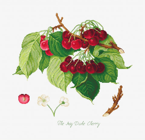 The May Duke Cherry SBL22460 - Cross Stitch Kit