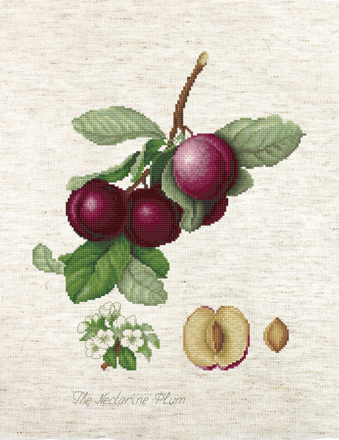 The Nectarine Plum SBA22480 - Cross Stitch Kit