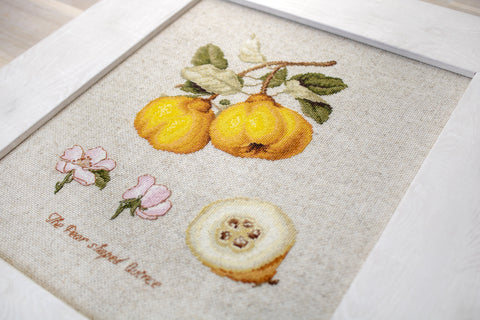 The Pear Shaped Quince SBL22430 - Cross Stitch Kit