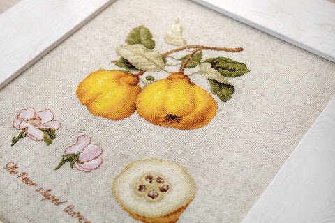 The Pear Shaped Quince SBL22430 - Cross Stitch Kit