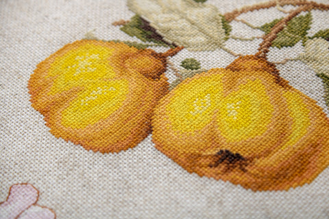 The Pear Shaped Quince SBL22430 - Cross Stitch Kit