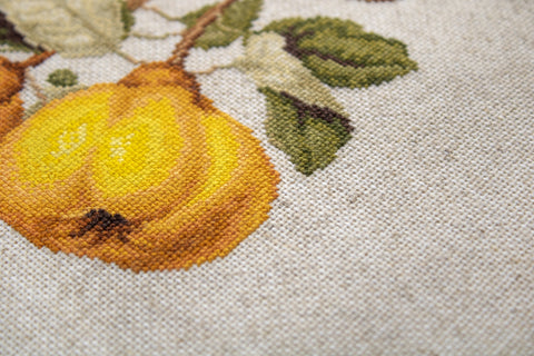 The Pear Shaped Quince SBL22430 - Cross Stitch Kit