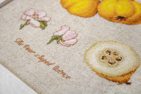 The Pear Shaped Quince SBL22430 - Cross Stitch Kit