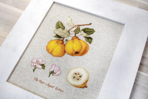 The Pear Shaped Quince SBL22430 - Cross Stitch Kit