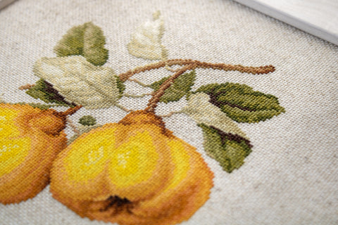 The Pear Shaped Quince SBL22430 - Cross Stitch Kit