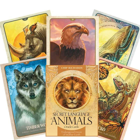 The Secret Language of Animals Oracle cards Blue Angel