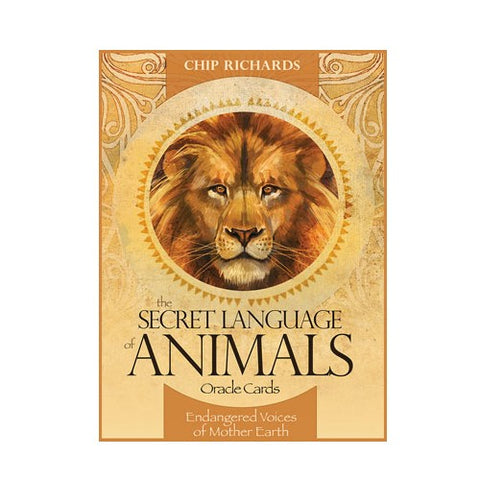 The Secret Language of Animals Oracle cards Blue Angel