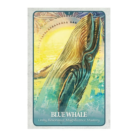 The Secret Language of Animals Oracle cards Blue Angel