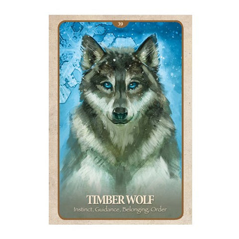 The Secret Language of Animals Oracle cards Blue Angel