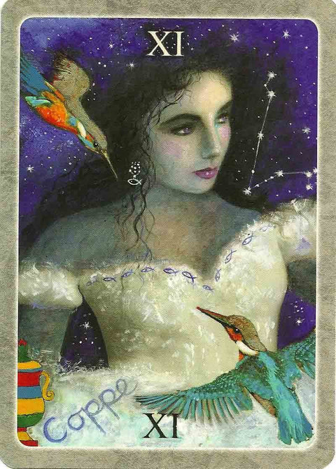 The Secret Language of Birds Tarot Cards Schiffer Publishing