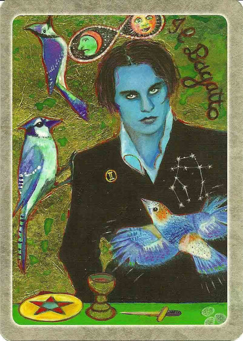 The Secret Language of Birds Tarot Cards Schiffer Publishing