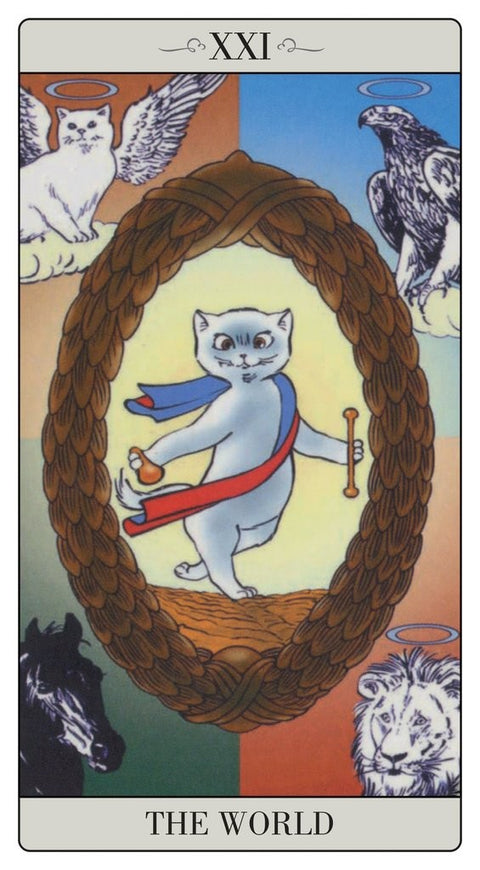 The Way Jodorowsky Explained Tarot To His Cat Cards Lo Scarabeo