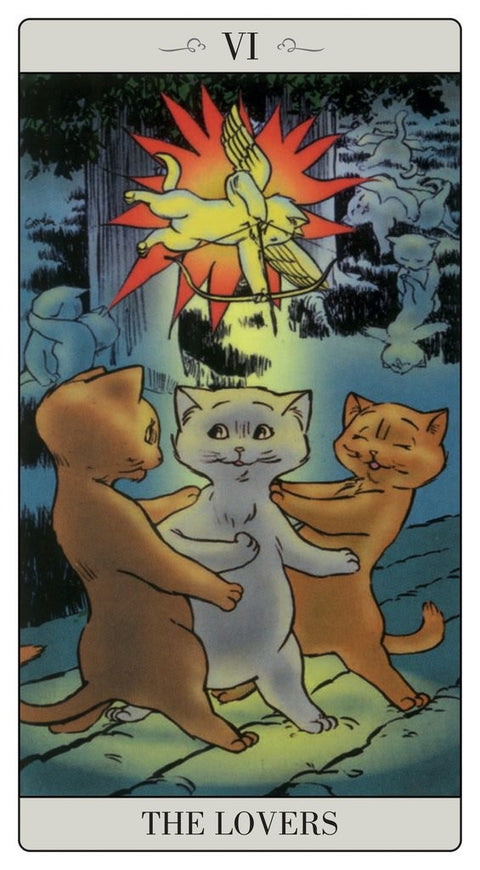 The Way Jodorowsky Explained Tarot To His Cat Cards Lo Scarabeo