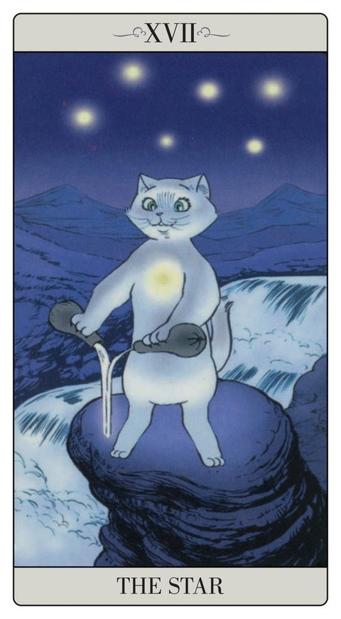 The Way Jodorowsky Explained Tarot To His Cat Cards Lo Scarabeo